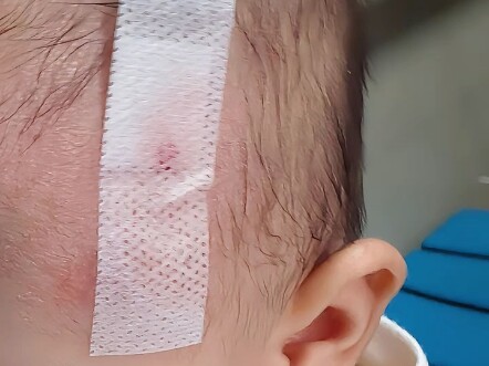 "This isn't stupidity; it's just plain evil!" — Mommy