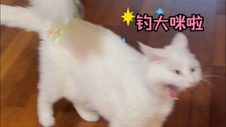 Zhong Mi fishes for big fish, Auntie Jiang fishes for big Mi 🎣