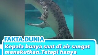 peringatan jangan menilai sesuatu dari luarnya saja 🗿