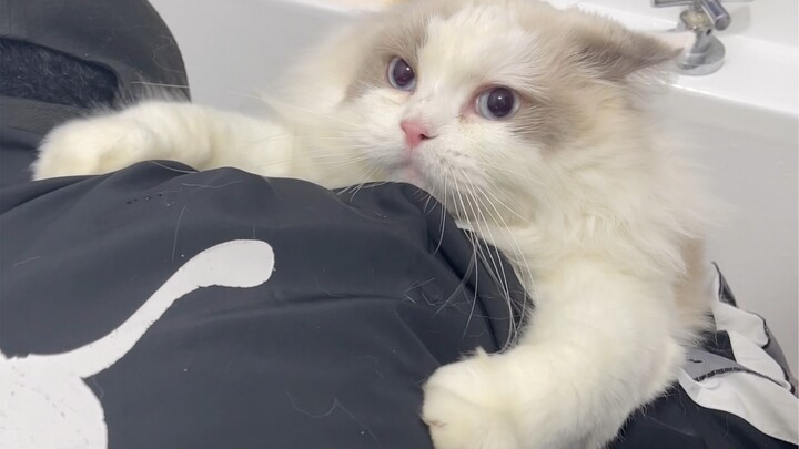 “Hống hách trong nhà”