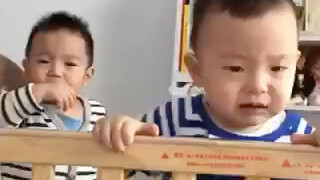 Nơi nào có Ngọa Long, nơi đó ắt có Phụng Trù.