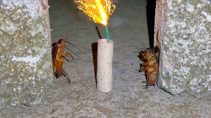 Firecrackers vs. Cockroaches: 100 Ways for Little Qiang to Die!