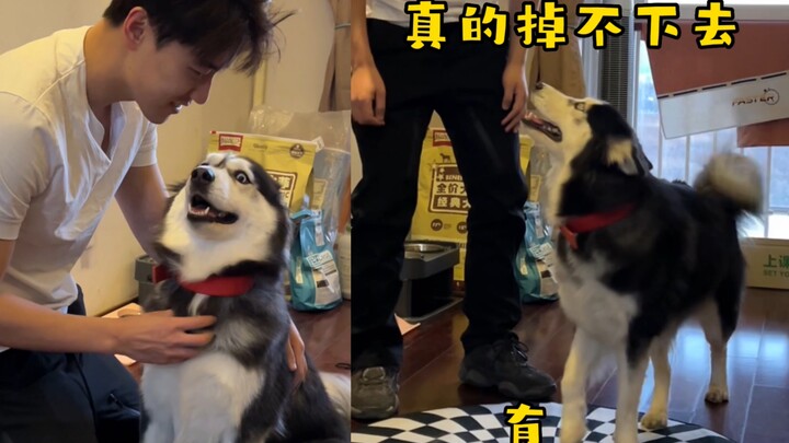 Dog: How should I tell Daddy that this isn’t a real hole, that you can’t fall in, and that you shoul