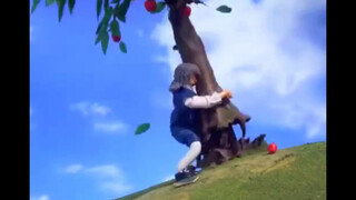 【Robot Chicken】Newton uproots an apple tree