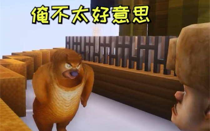 หมี หมี แคมปัส 8.0