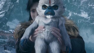Khuôn mặt chú khỉ nhỏ tràn đầy vẻ tự hào, cuối cùng họ cũng đã ra ngoài!