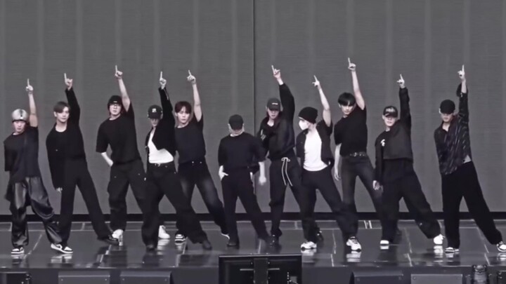 【SEVENTEEN】这辈子注定会爱上大型团