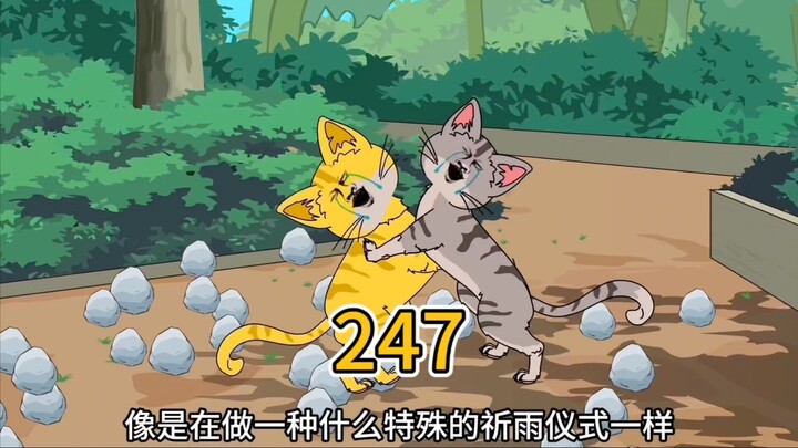 （247）臭丫头，没有心