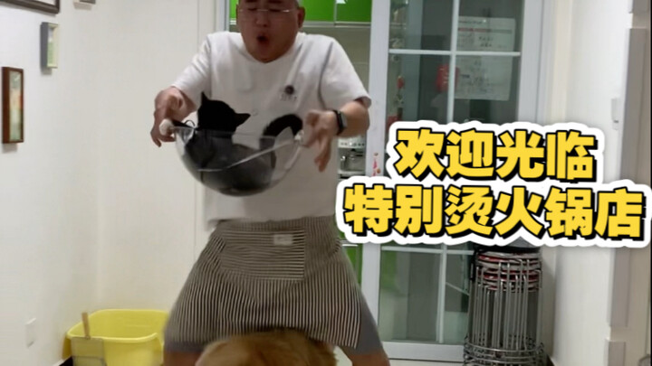 Về việc chồng tôi muốn chuyển nghề sang mở quán lẩu nhưng bị tôi từ chối