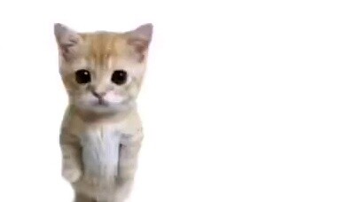Soy milk