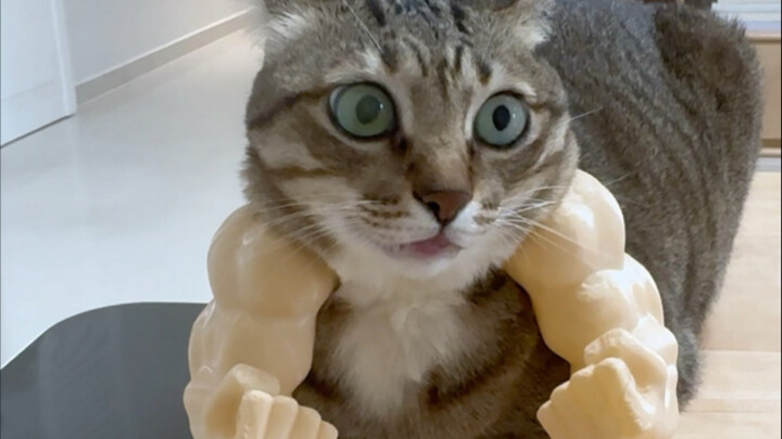 Pemain "Kung Fu Tiongkok": Da Mi dan Xiao Mi