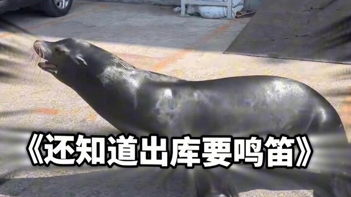 看得出来双方都很委屈……