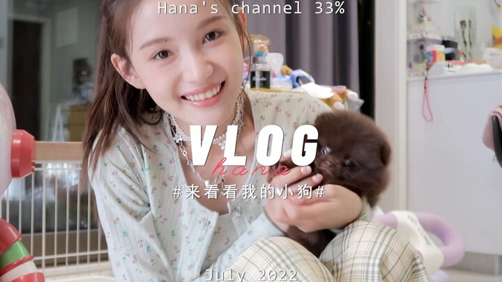 Kênh của Hana 33% | Mở hộp mua sắm | Tôi cũng có cún con rồi