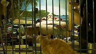 男孩出生就长有一根猪尾巴，父亲见状残忍掐断
