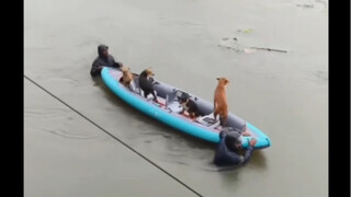 Humanity saves the world