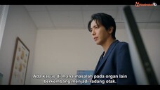 Brain Works E06 720p