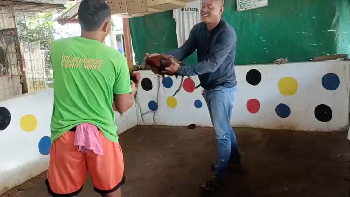 Super Melsim x Bruce