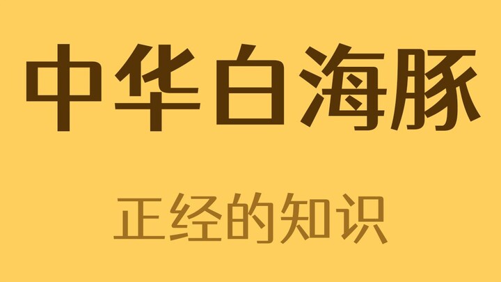 为什么白海豚是粉色的？