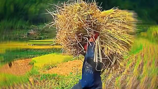 “Nghèo đói hạn chế trí tưởng tượng của tôi”
