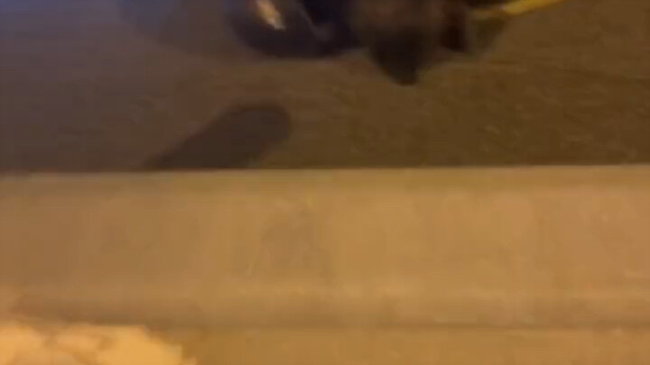 Setiap kali muncul kasus penipuan, Hakim Wang Hao selalu masuk ke daftar pencarian populer.