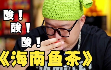 岳云鹏都说好吃的海南鱼茶，真的好吃吗？
