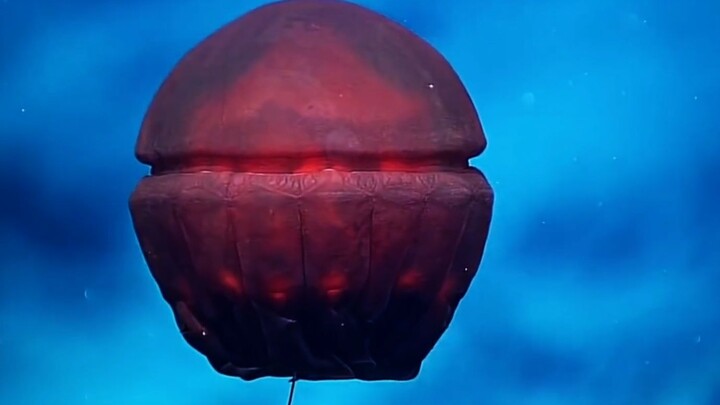 【深海水母】来自外星的掉San生物