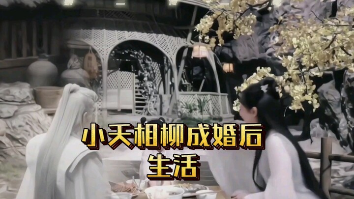 Catatan kehidupan Xiao Yao dan Xiang Liu setelah menikah; pantas saja Xiang Liu adalah cinta pertama