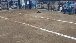 2nd fight