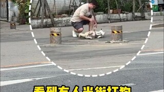 People who don’t own dogs vs. people who do