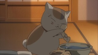 Cat San San is quite caring~