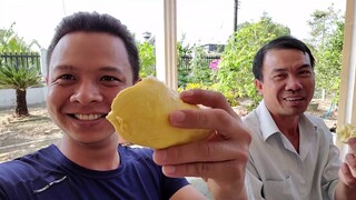 Ăn sầu riêng ở giữa vườn sầu riêng | Cuộc sống Nhật | ÚT ĐẠT #142