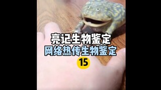 【การทดสอบทางชีวภาพของ Liangji】การระบุทางชีวภาพแบบฮอตอินเทอร์เน็ต 15