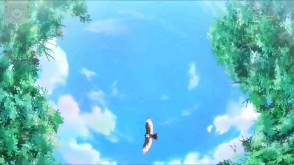 PA like and follow po namn