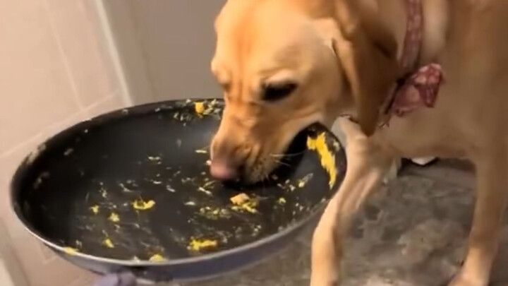 What does the puppy do while mom is taking a bath?