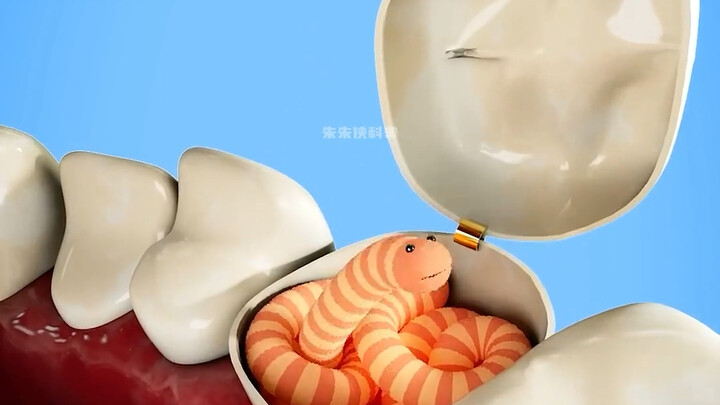 What did people in ancient times do about tooth decay?