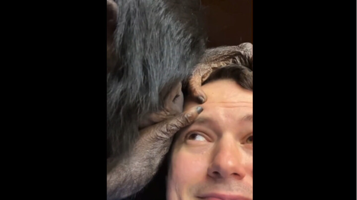 Shall we go to the beauty salon? Good morning, everyone!