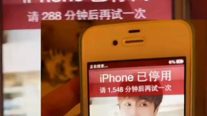 Kucing Kecil: Ini kamu setelah dewasa?