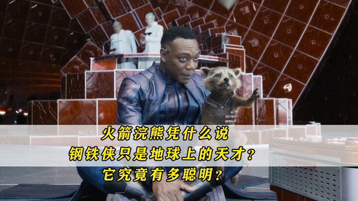 ร็อกเก็ตแรคคูนมีสิทธิ์อะไรถึงบอกว่าไอรอนแมนเป็นแค่อัจฉริยะบนโลก? แท้จริงแล้วมันฉลาดขนาดไหนกันแน่?