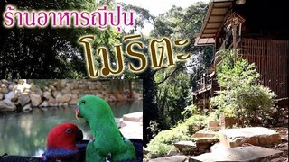 รีวิวนกแก้ว :ร้านอาหารญี่ปุ่น โมริตะ ปากช่อง EP.23