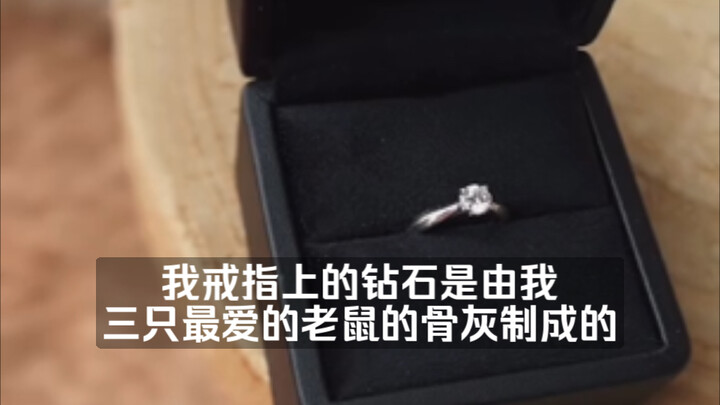 The diamond in my ring is made from the ashes of my three favorite mice.