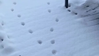 糟了！脚步乱了