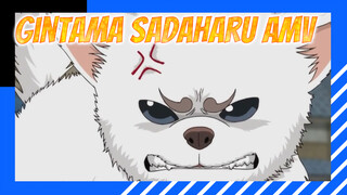 [Gintama] Sadaharu Semakin Parah?