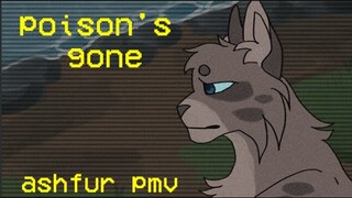 poison's gone - ashfur