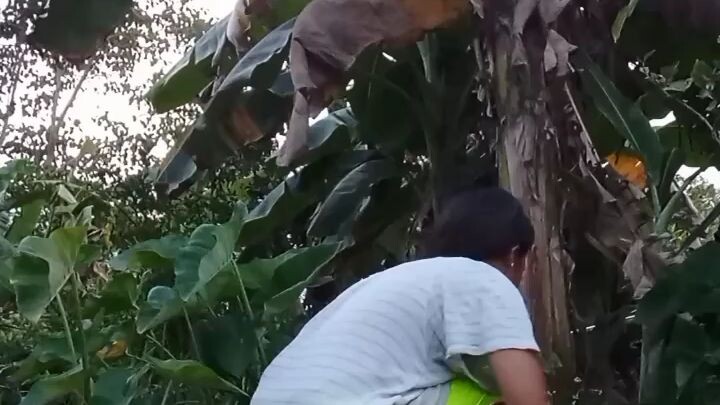 vlog 02 nangguna gikan sa eskuylahan