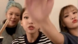 مومو، هل يمكنني أن أكون كلبك؟ مومو: نعم!! كلبي!!!