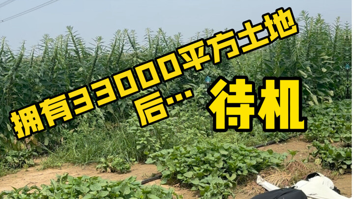 When I suddenly owned 33,000 square meters of land after the renovation... my construction DNA awake