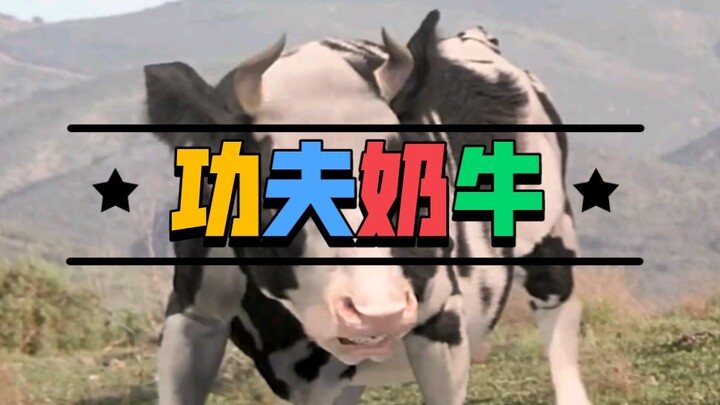 Man vs. Cow Showdown