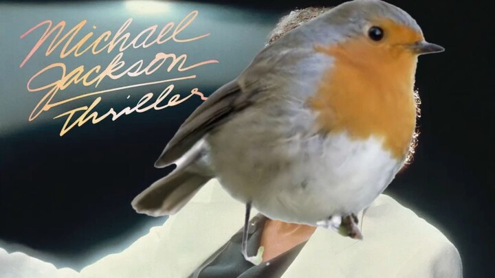 الطائر يهز: بيلي جين