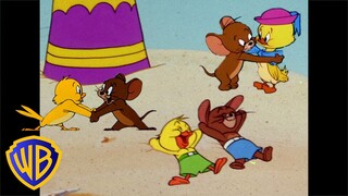 Tom et Jerry en Français 🇫🇷 | Jerry et Quacker, meilleurs amis pour la vie | @WBKidsFrancais​