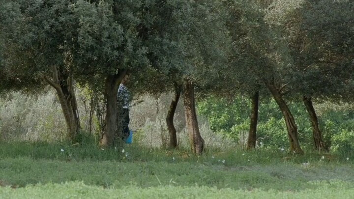 Best Iranian Film
